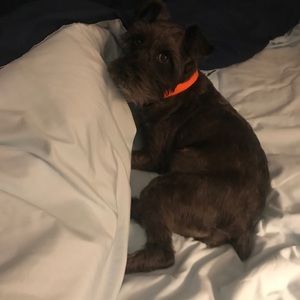 Meet your Posher, Tonya